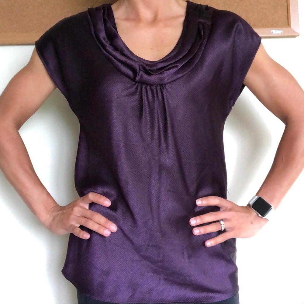 The Limited Blouse